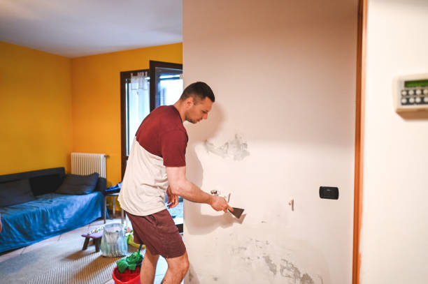Best Attic Mold Remediation in Sullivan City, TX